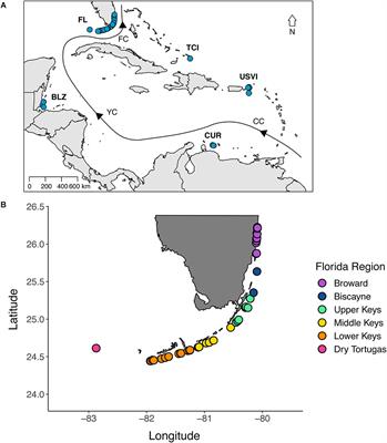 Fallen Pillars: The Past, Present, and Future Population Dynamics of a Rare, Specialist Coral–Algal Symbiosis